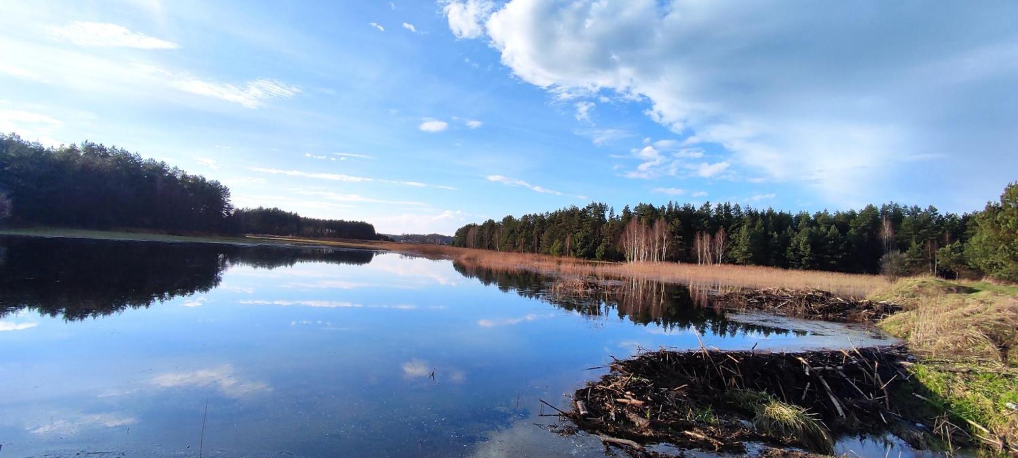 Ranczo Czerwony Mlyn Фермерський будинок Zdow